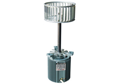 SOP耐高溫電機 60W